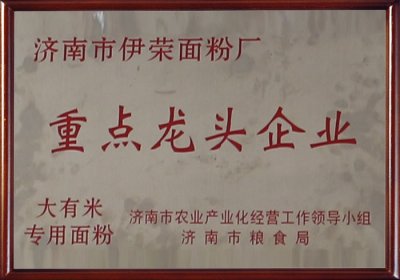 重點(diǎn)龍頭企業(yè)