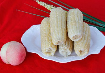 主食系列-003